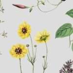 Colorful vintage floral decoration