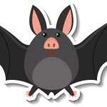 Cute bat