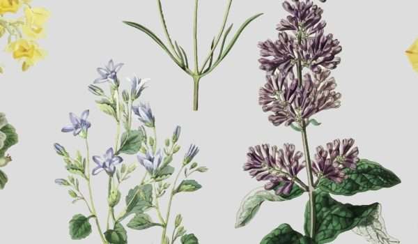 Colorful vintage floral decoration