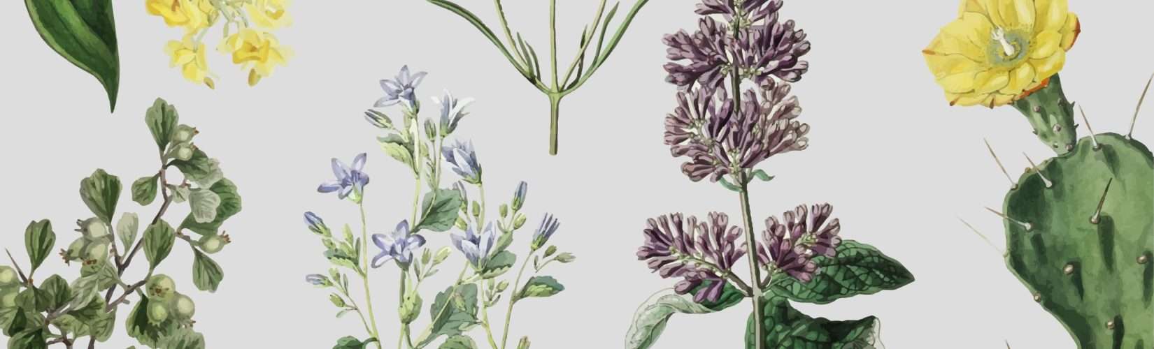 Colorful vintage floral decoration