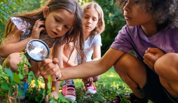 children learning about nature