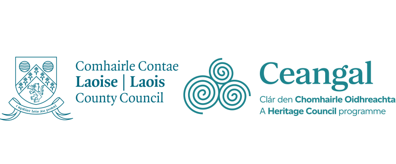 Laois County Council